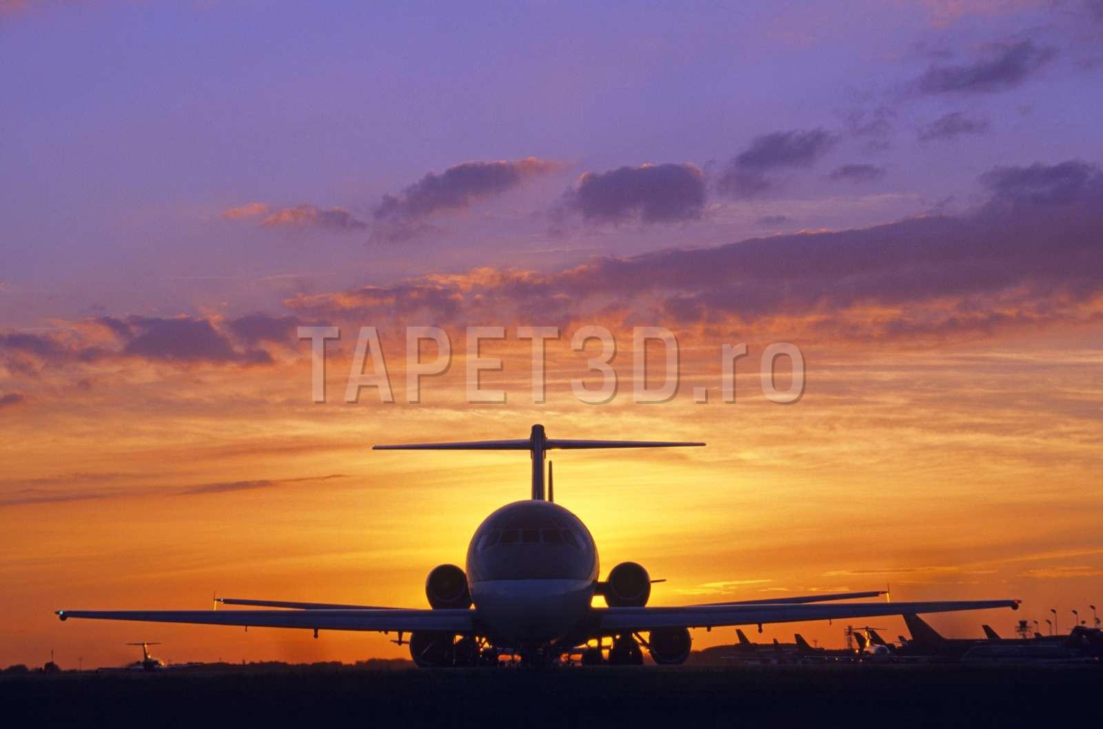 Avion la apus