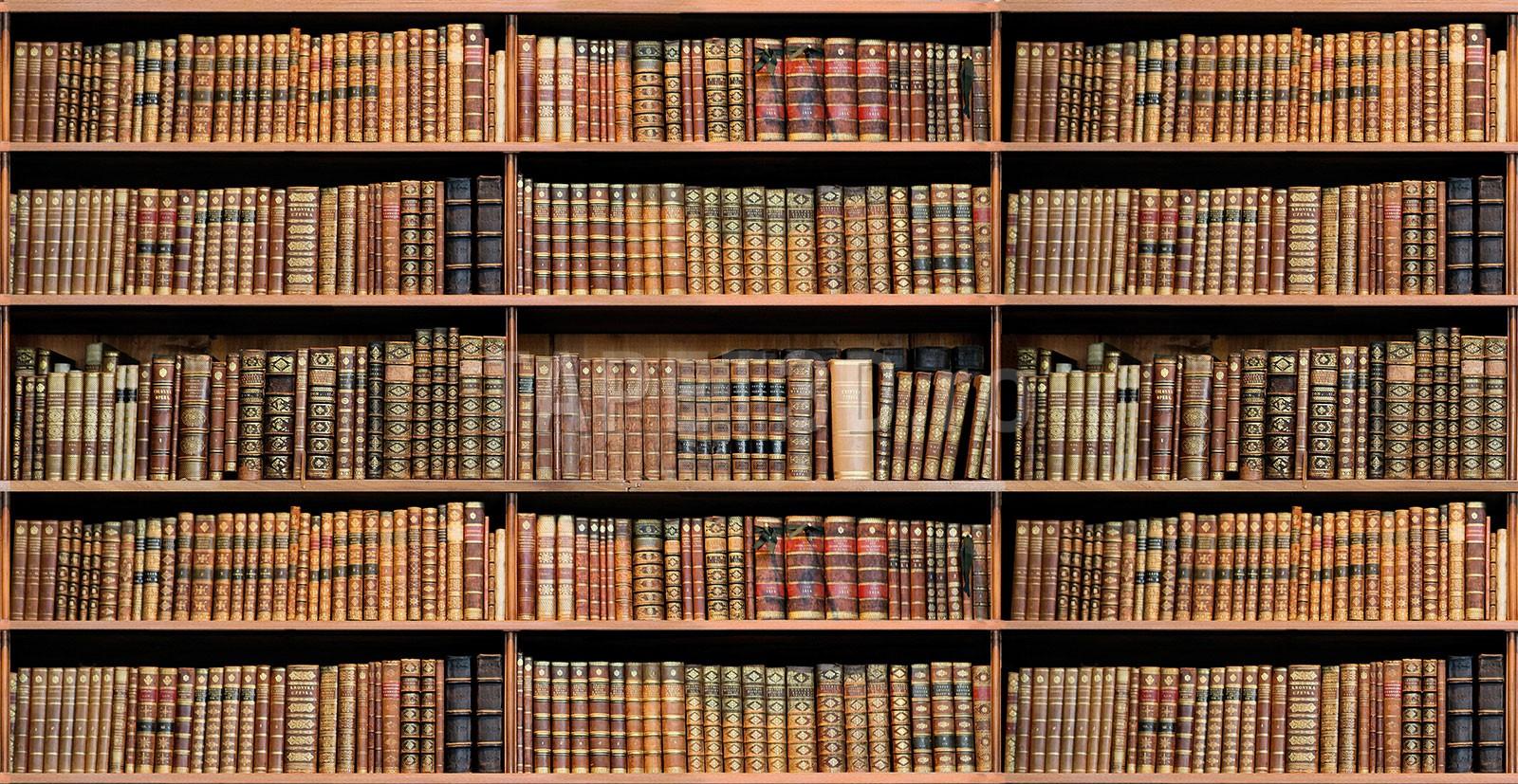 biblioteca-fox-20-0102-1.jpg