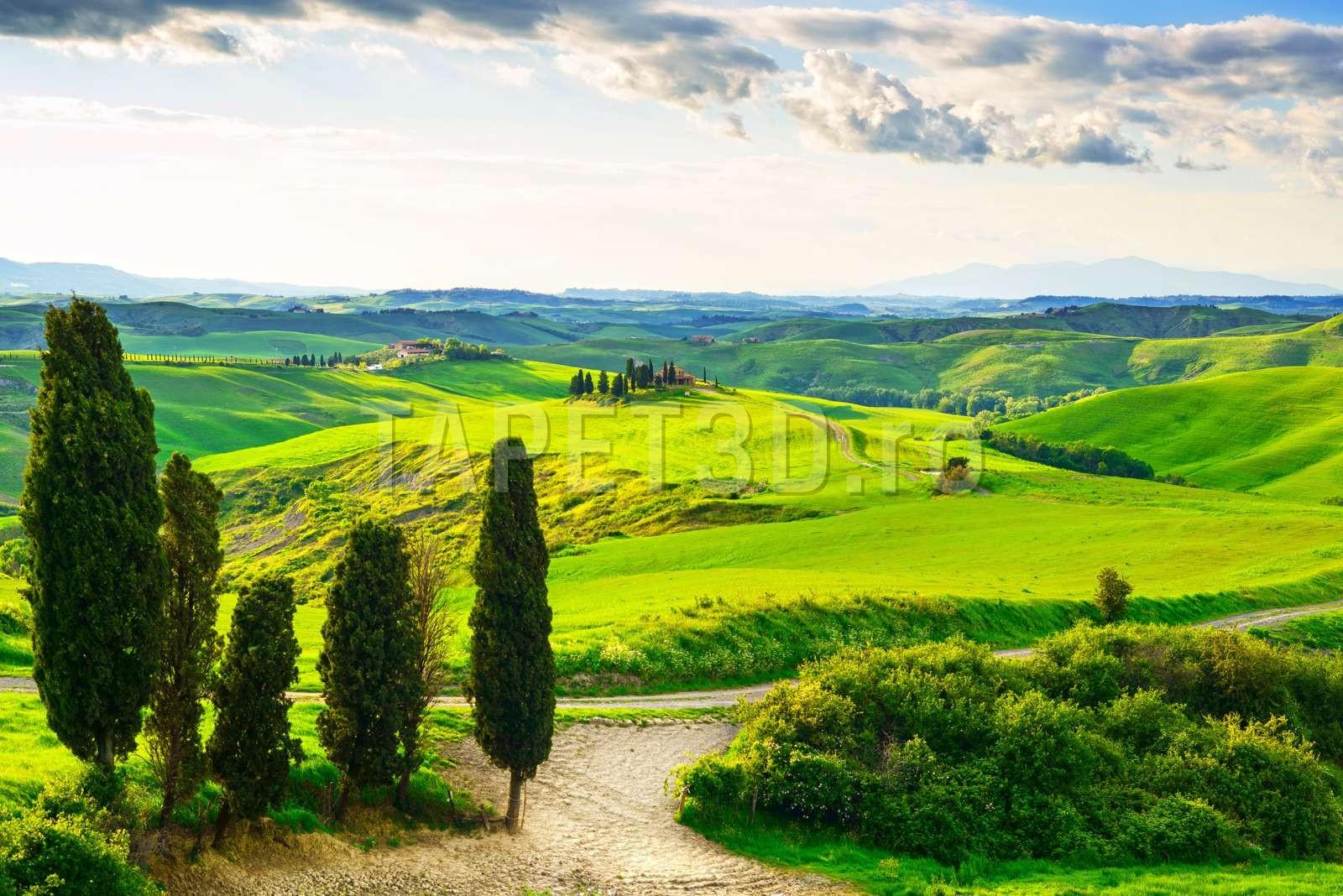 campii-si-dealuri-04-1.jpg