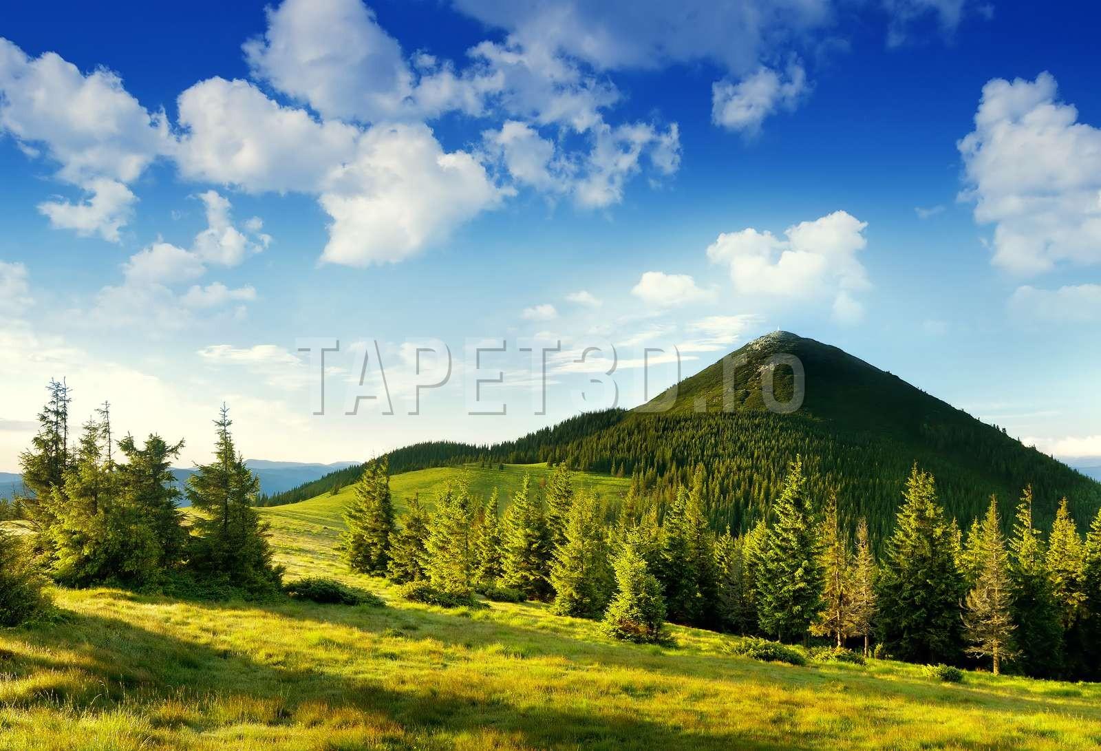 campii-si-dealuri-12-1.jpg
