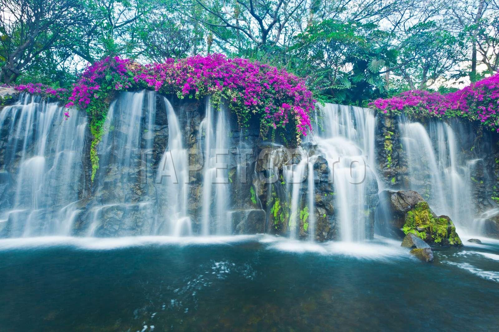 cascada-08-1.jpg