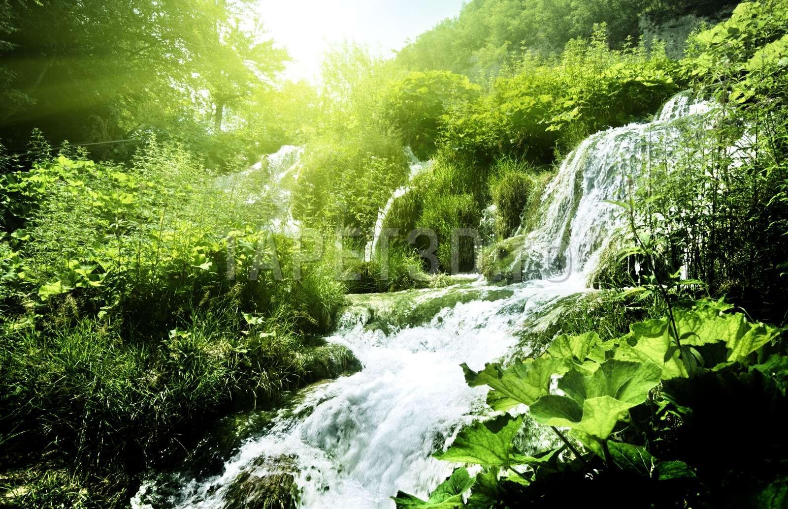 cascada-21-1.jpg