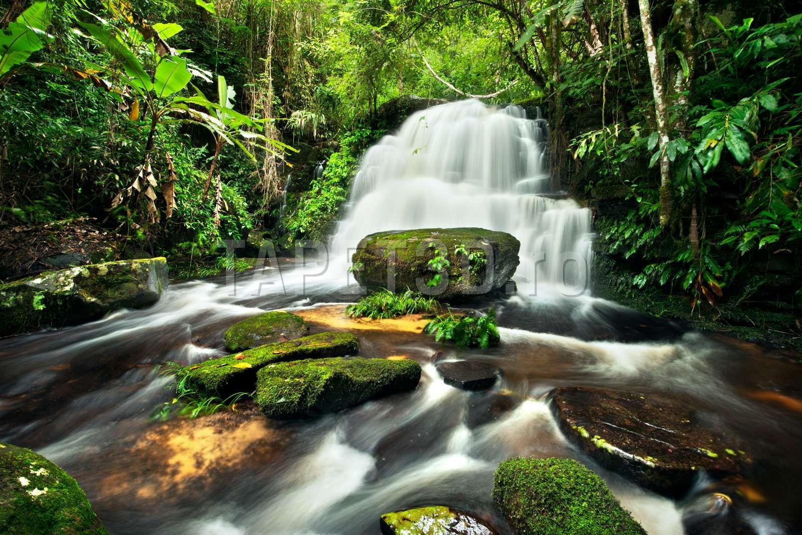 cascada-41-1.jpg