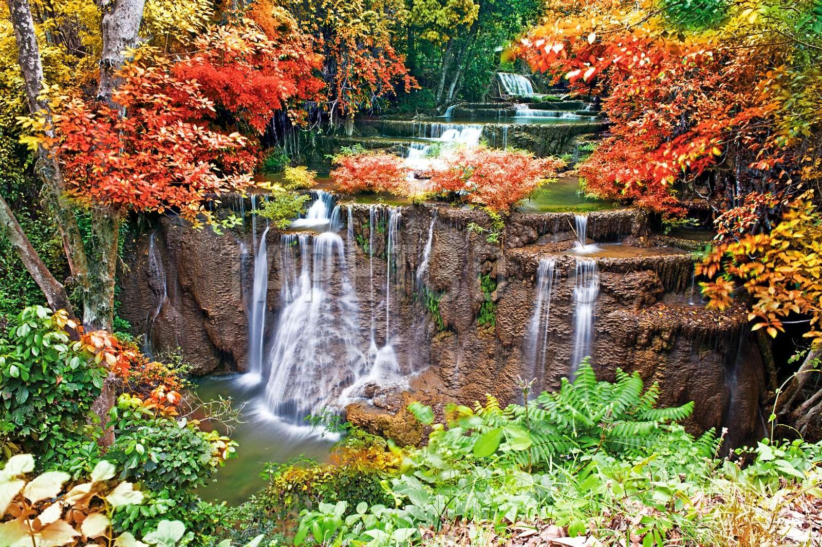 cascada-45-1.jpg