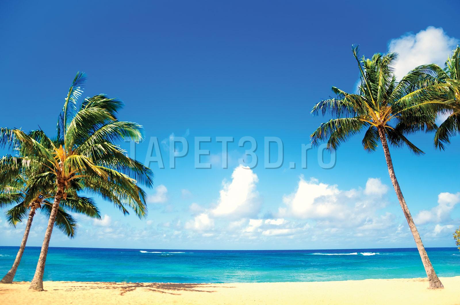 fototapet-cer-tropical-fx-04-004-2-1.jpg