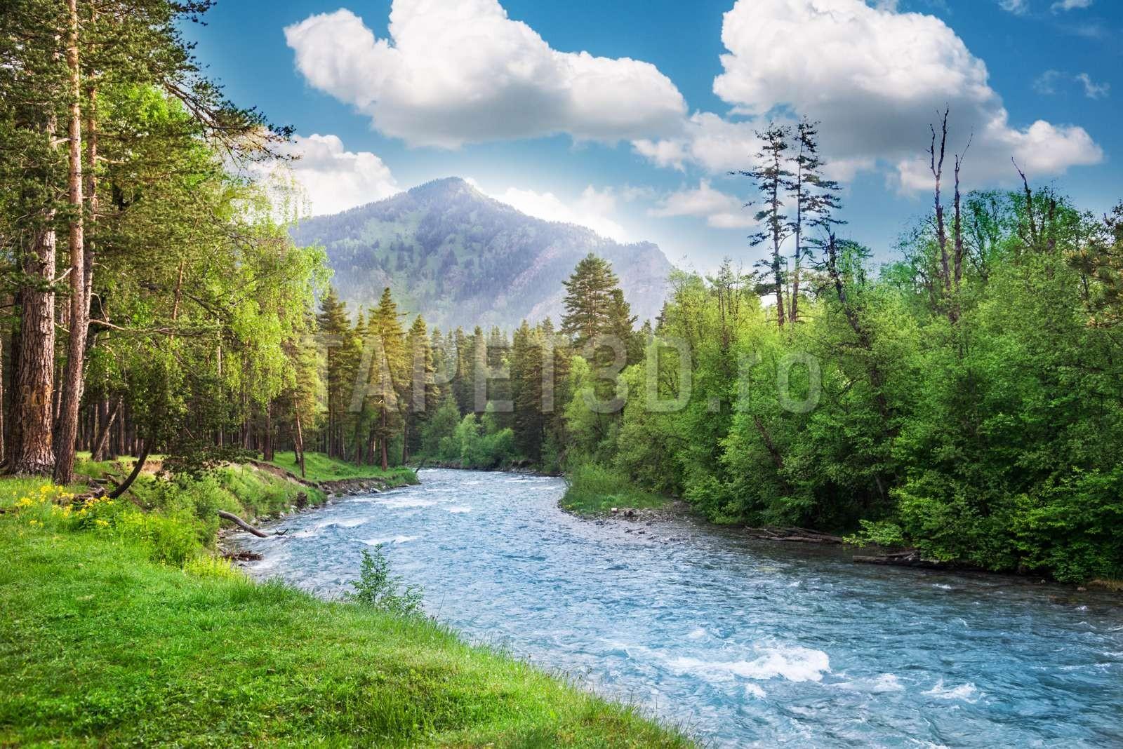fox-01-0131-peisaj-montan-1.jpg