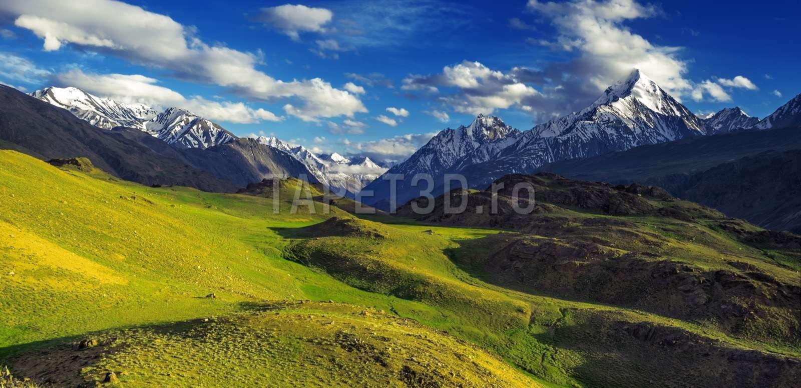 fox-01-0159-peisaj-montan-1.jpg