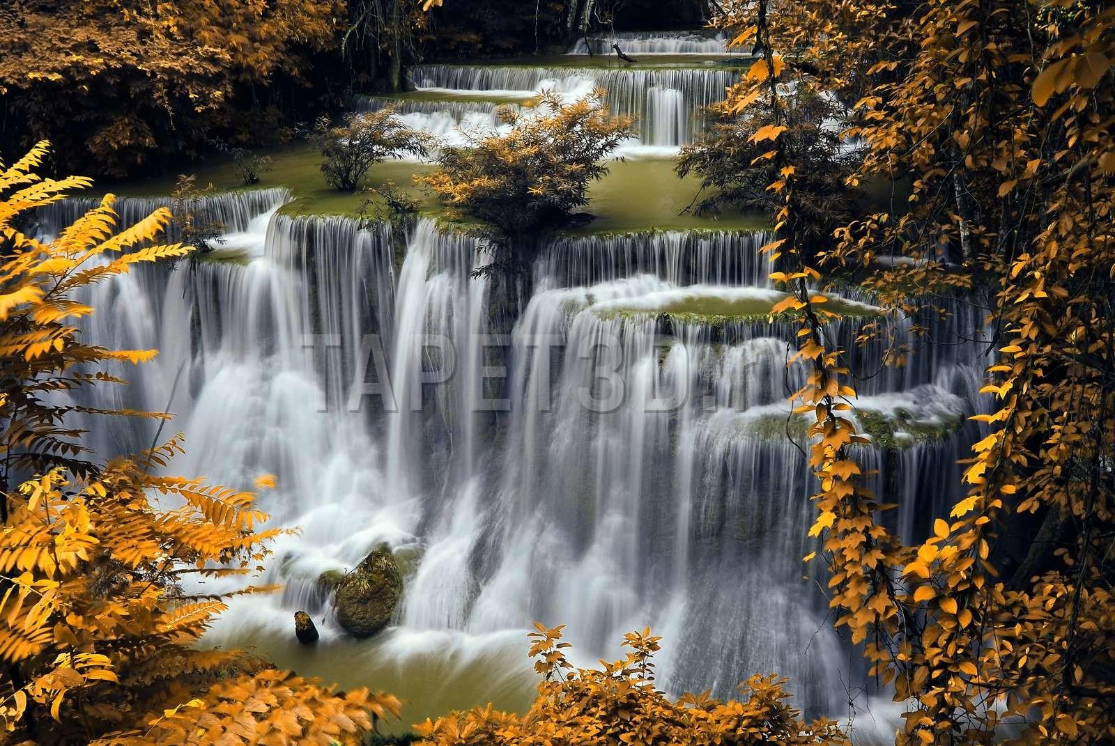 fox-02-0156-cascada-1.jpg