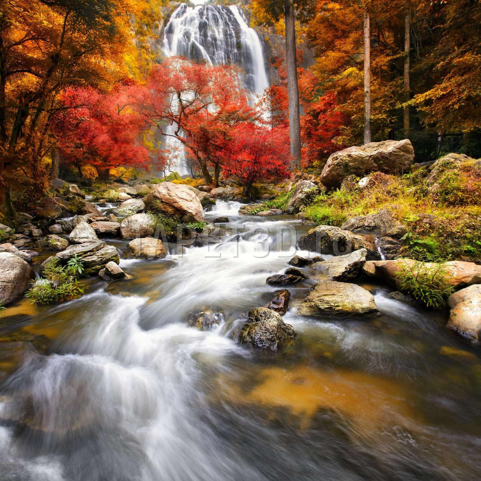 fox-02-0167-cascada-1.jpg