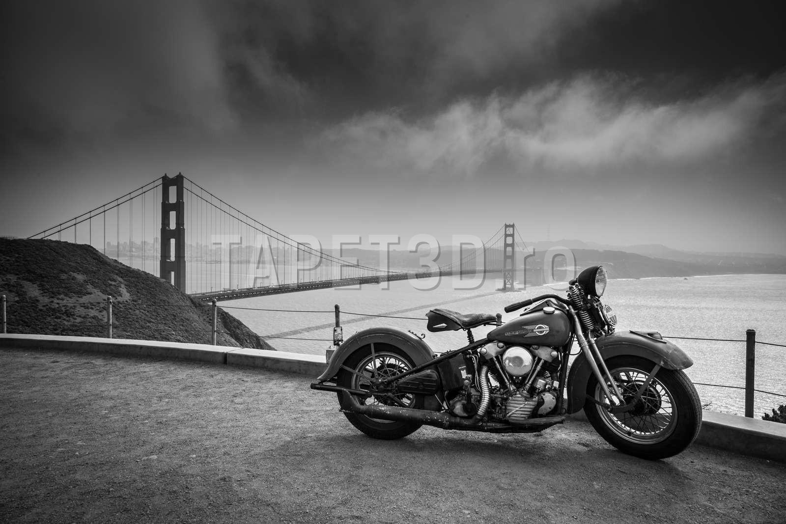 Motor la Marin Headlands