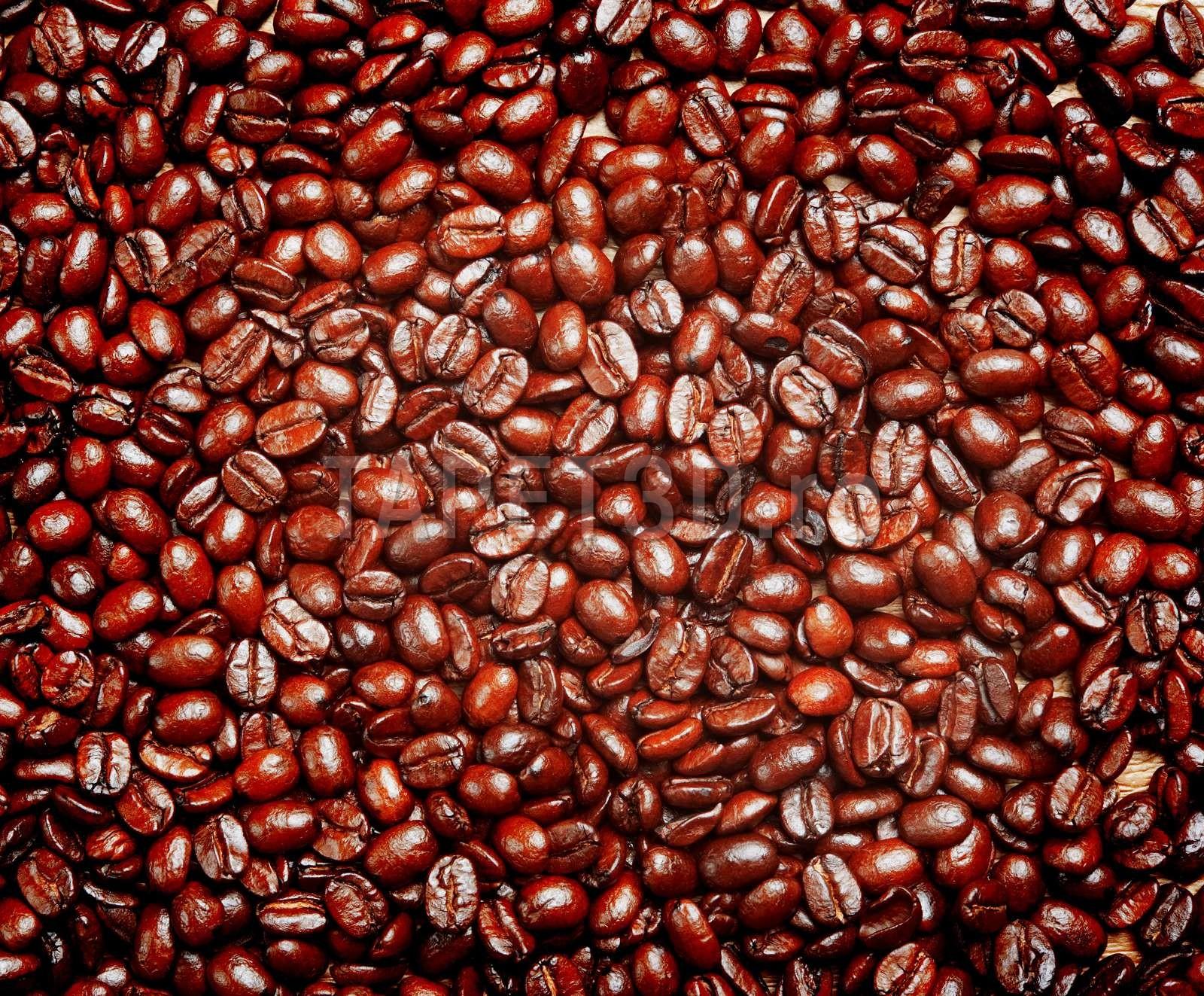 fox-25-0107-cafea-1.jpg