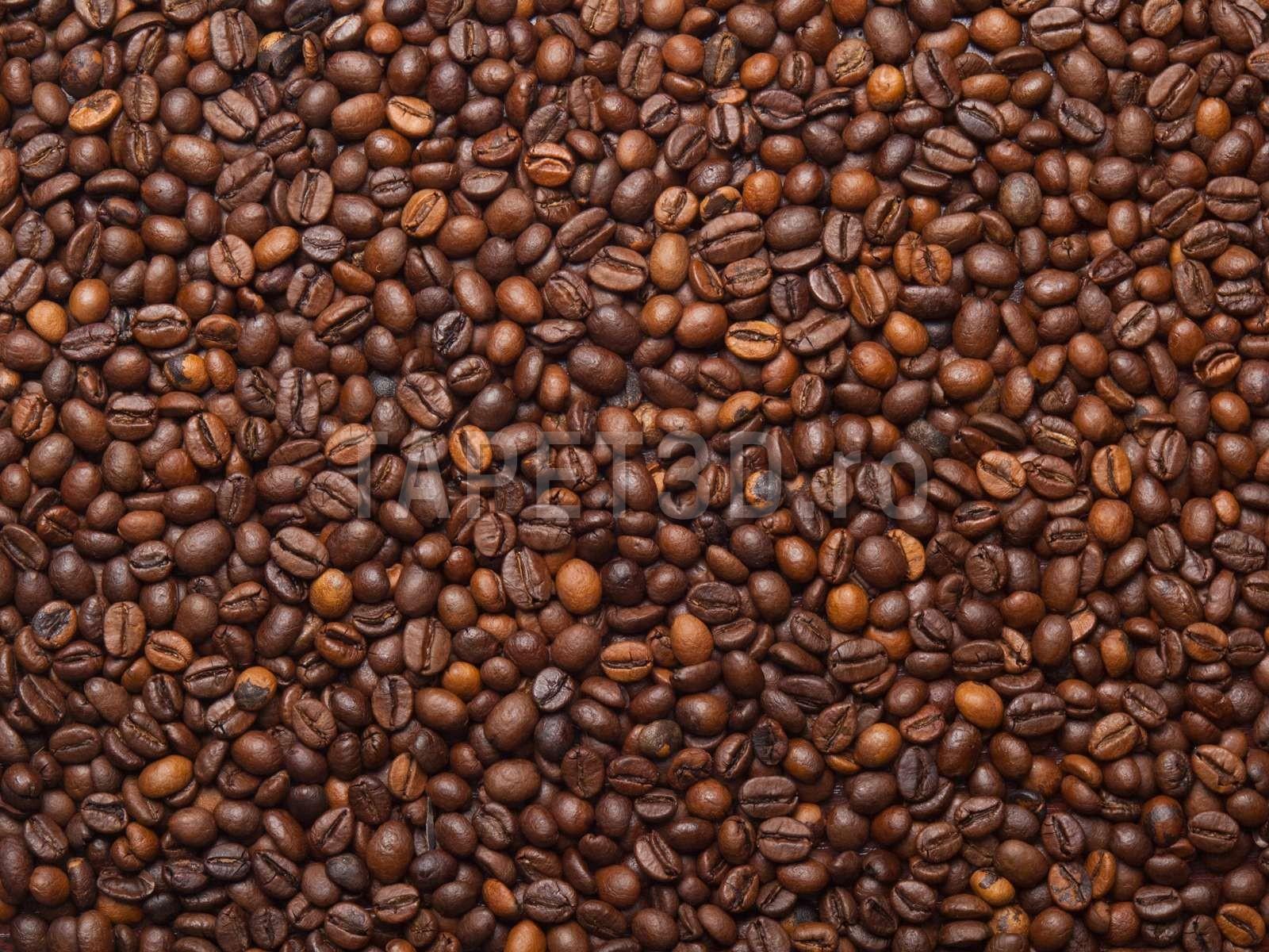 fox-25-0108-cafea-1.jpg