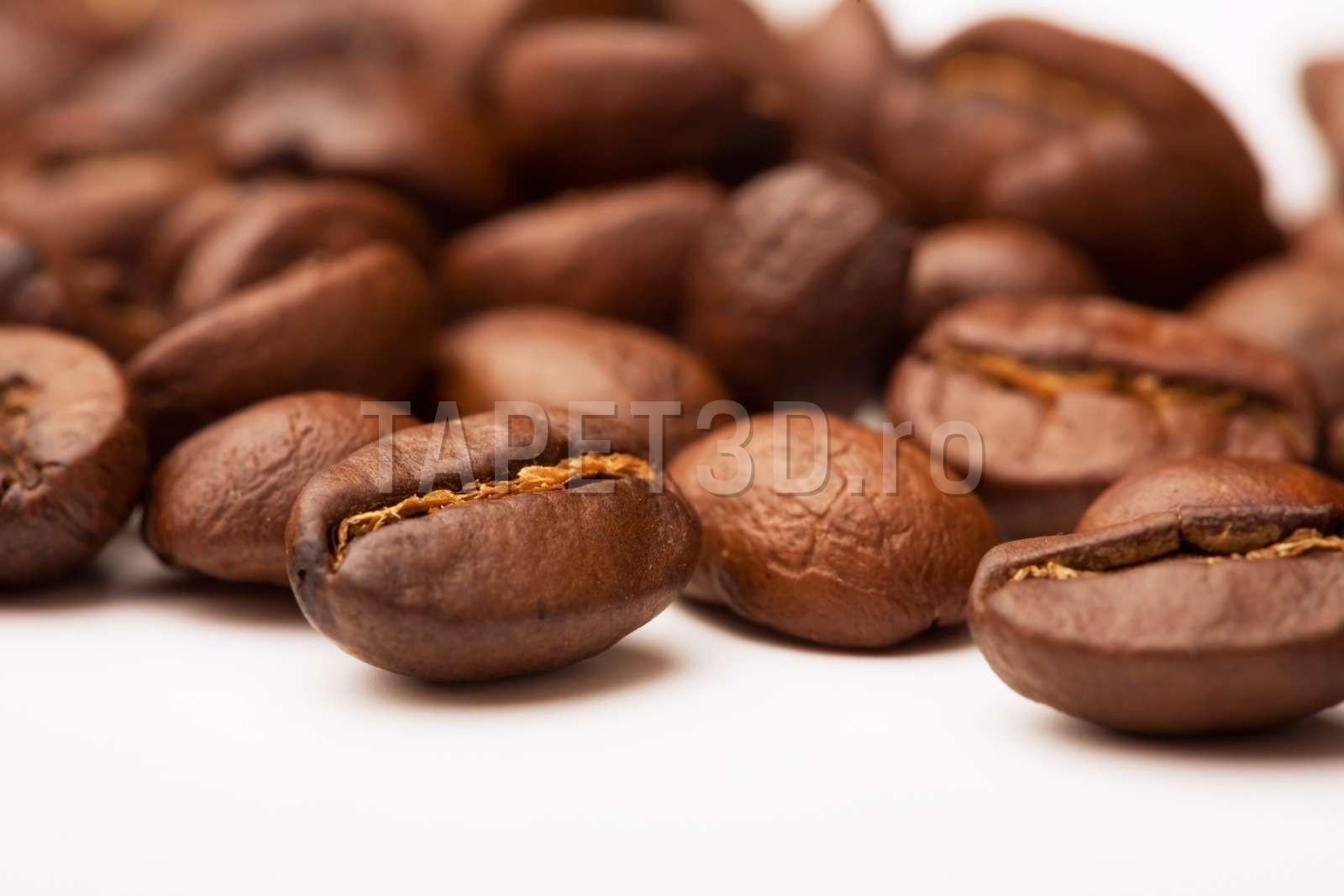 fox-25-0109-cafea-1.jpg
