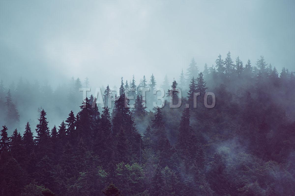 fx-01-06-muntele-de-ceata-2-1-1.jpg
