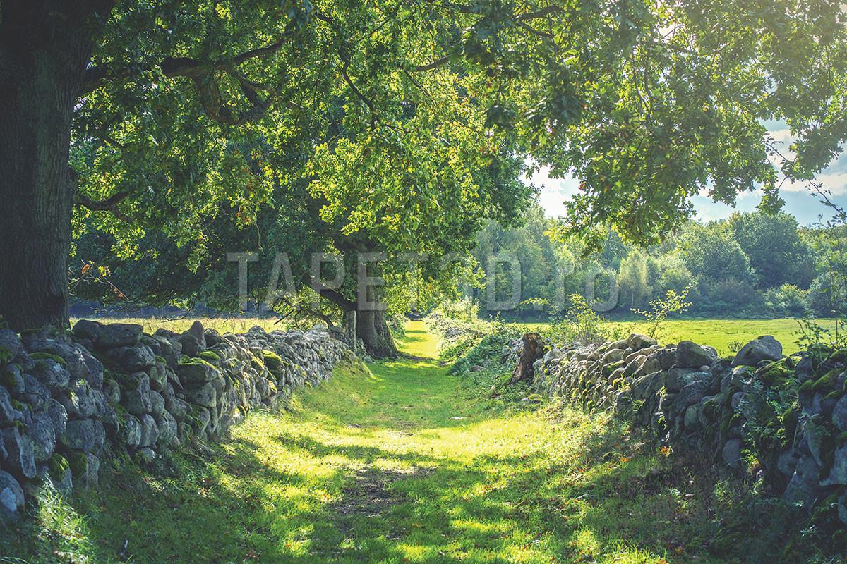 fx-08-02-inceput-de-vara-3-1.jpg