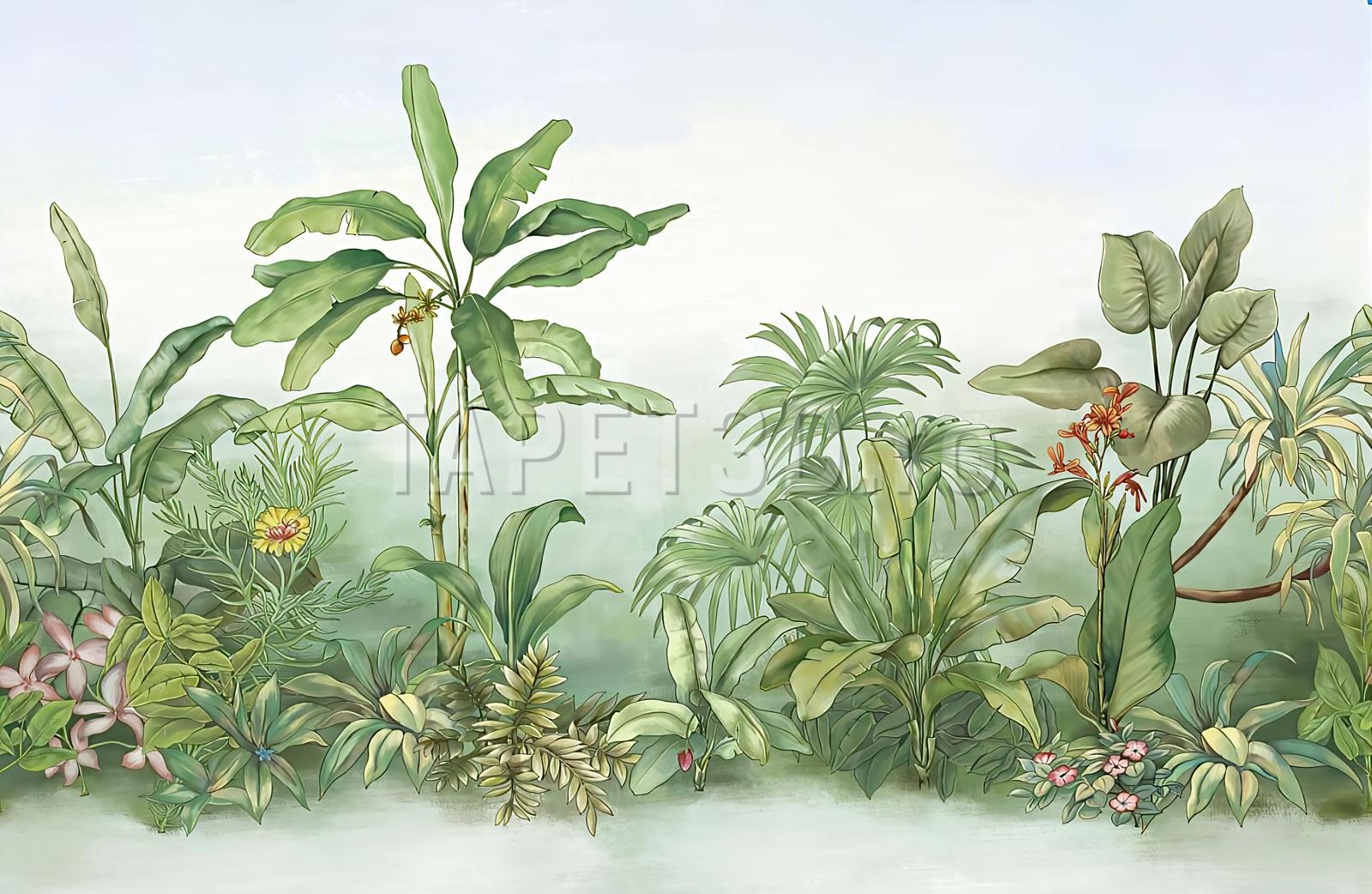 fx-12-020-4 Bananier in Jungla Tropicala - Fototapet