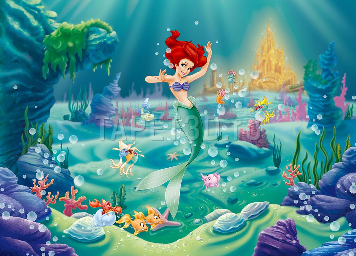 fx-15-06-mica-sirena-2-1.jpg