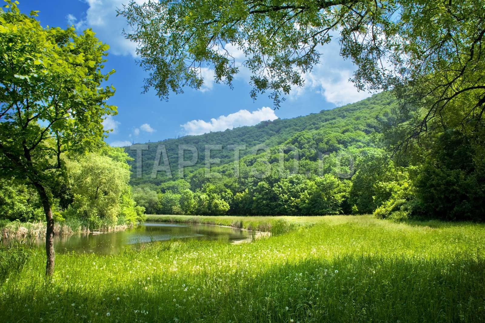lacuri-si-ape-08-1.jpg