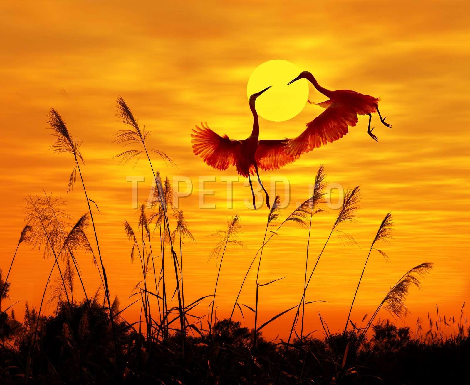Feerie