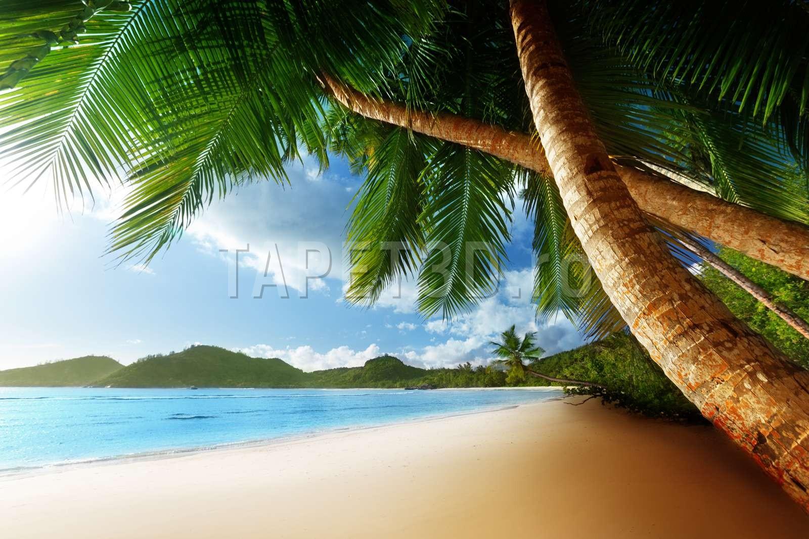 peisaj-tropical-03-1.jpg