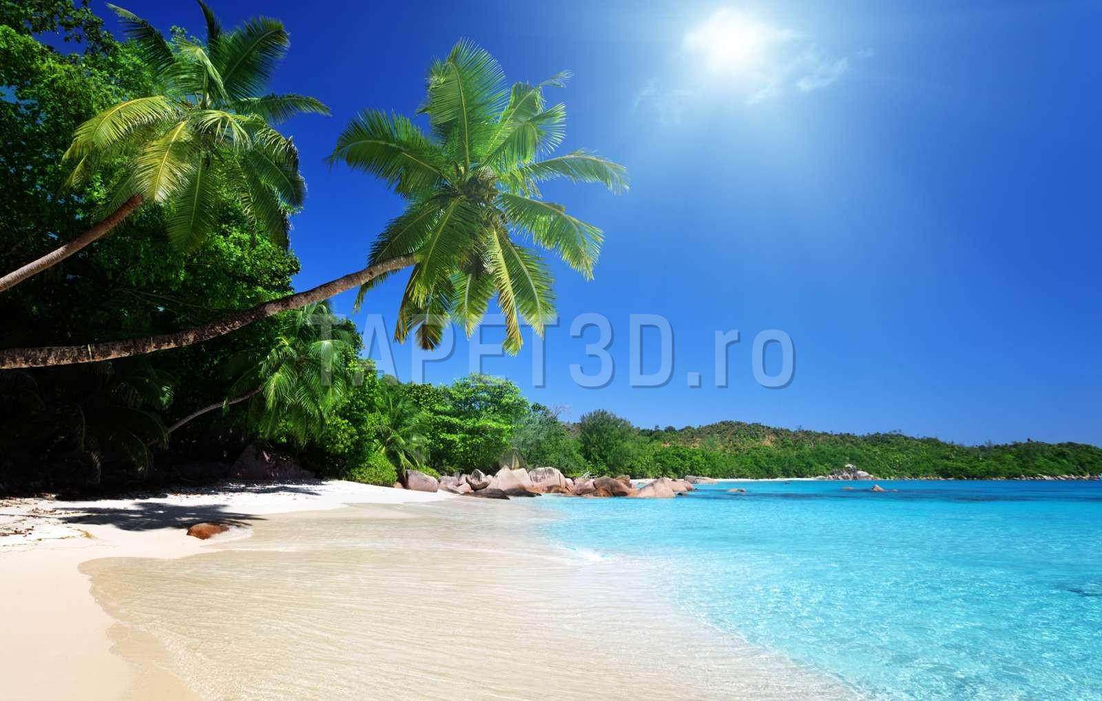 peisaj-tropical-11-1.jpg