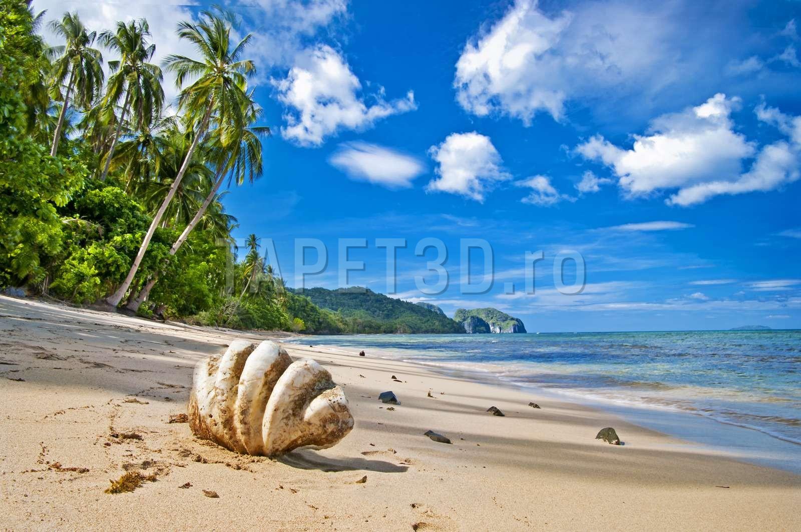 peisaj-tropical-16-1.jpg