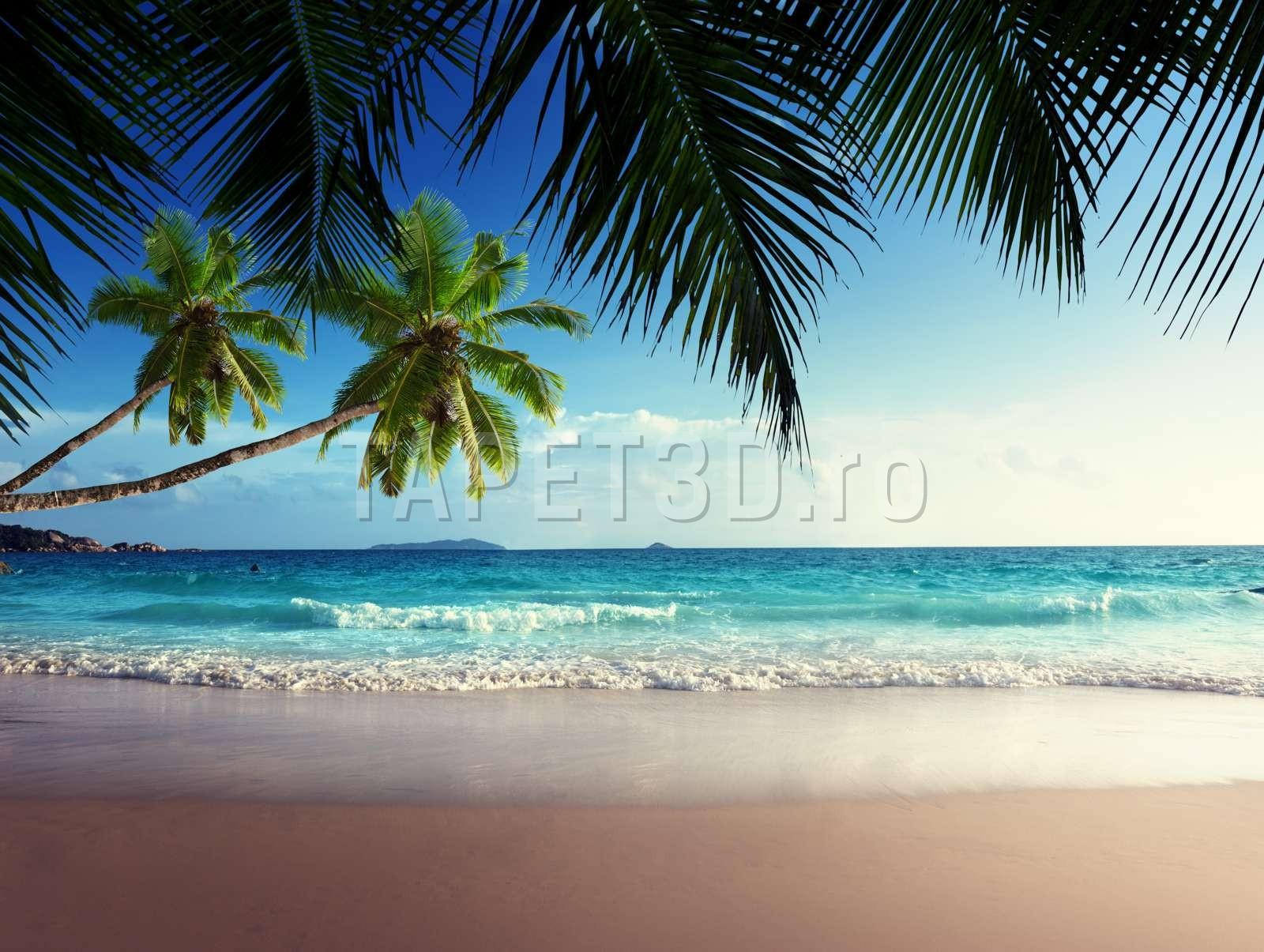 peisaj-tropical-23-1.jpg