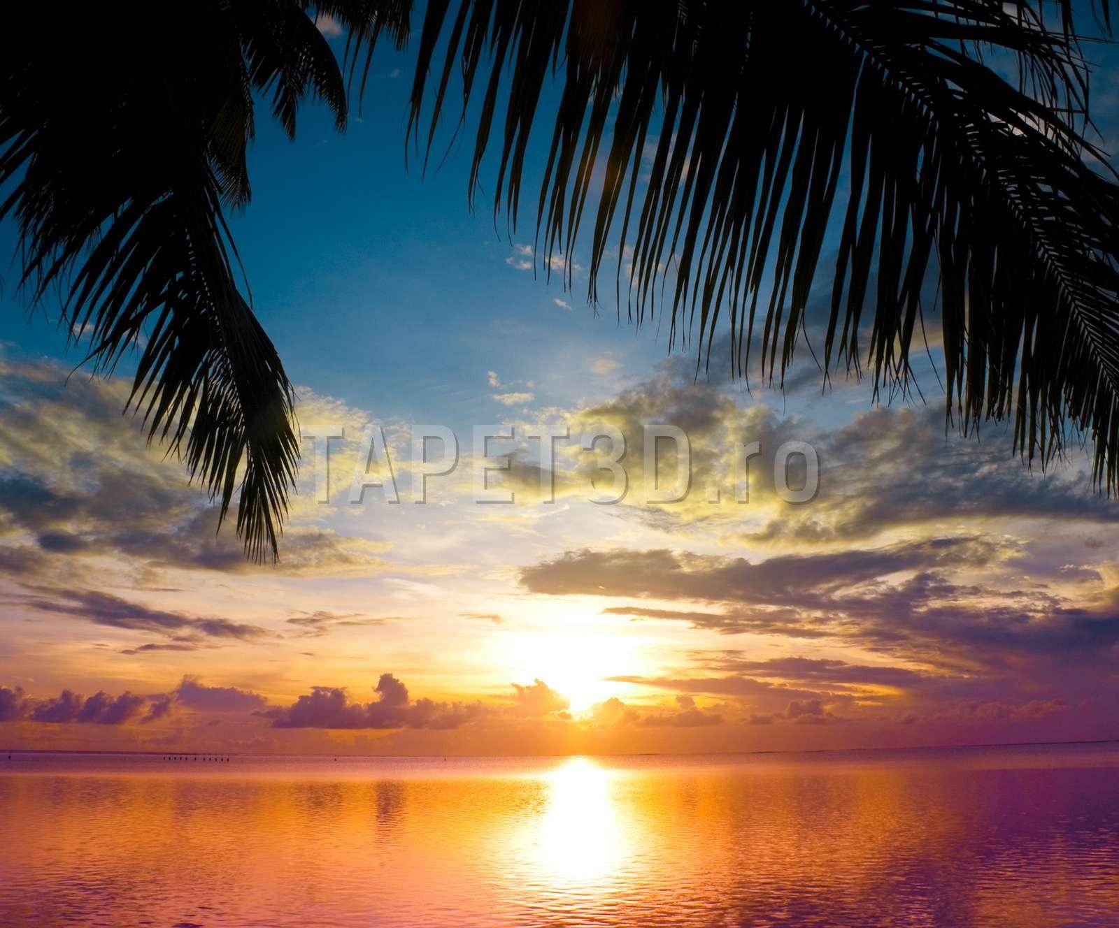 peisaj-tropical-28-1.jpg