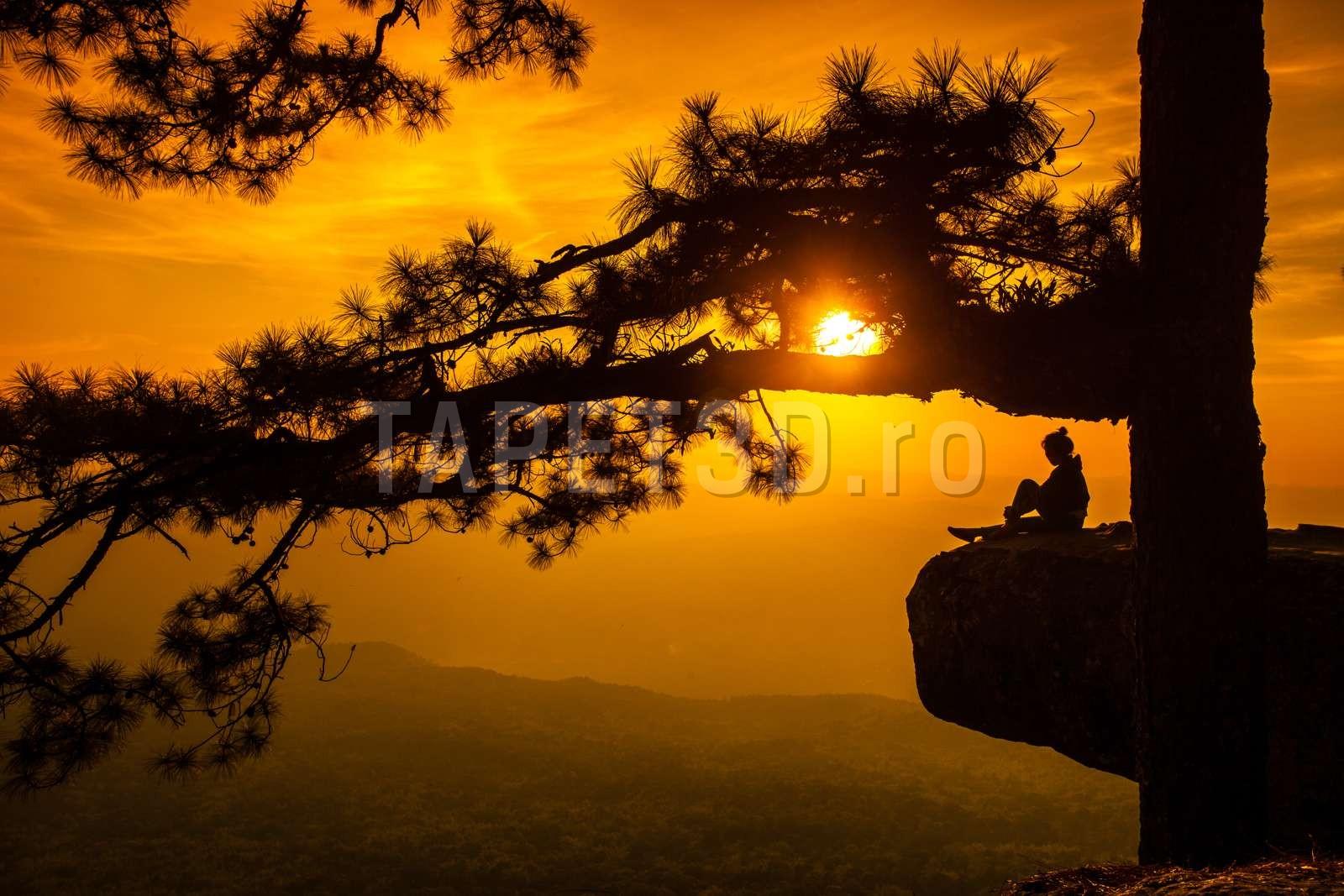 relaxare-in-natura-05-1.jpg