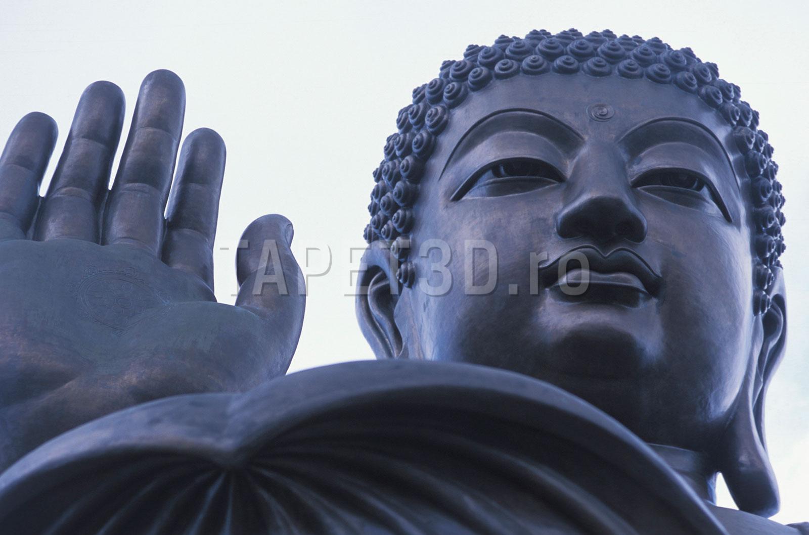 t3-27-0102-1 Fototapet Buddha T3-27-0102