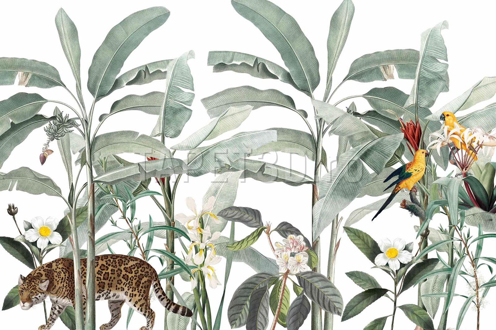 T3-02-064 Fototapet Jaguar in Jungla