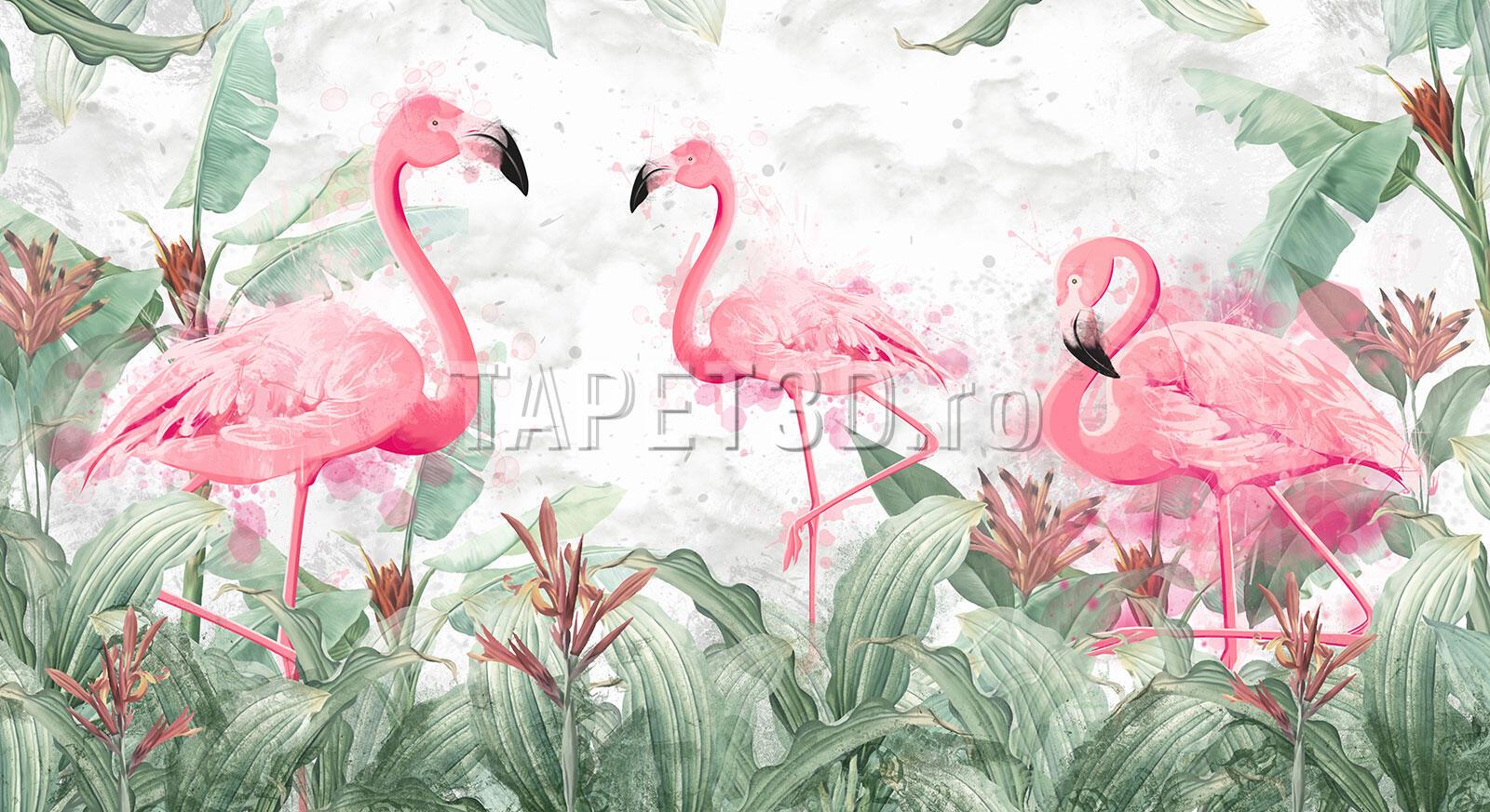 t3-02-067 Fototapet Flamingo printre Plante